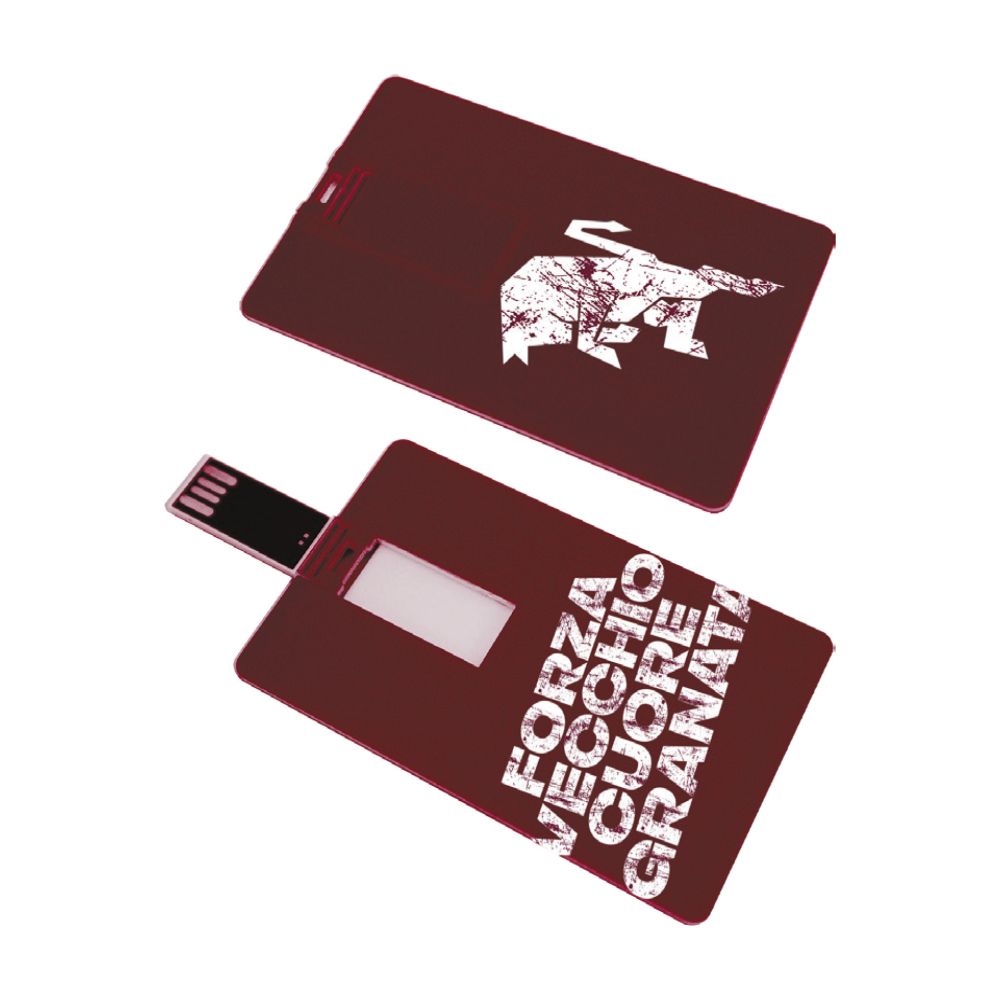 CHIAVETTA USB CARD 16GB STAMPA FRONTE RETRO FVCG