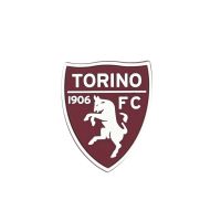 MAGNETE IN GOMMA MORBIDA LOGO UFFICIALE TORINO FC