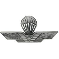 DISTINTIVO IN METALLO BREVETTO PARACADUTISTA CIVILE 75X35 MM