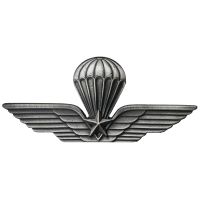 DISTINTIVO IN METALLO BREVETTO PARACADUTISTA MILITARE 75X35 MM