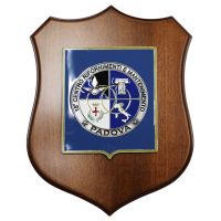 CREST IN METALLO SMALTATO BASE LEGNO 22,5X17,5CM 15 CENTRO RIFOR. PADOVA