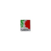 DISTINTIVO AMERICA'S CUP 38 RETTANGOLARE SFONDO TRICOLORE COPPA ARGENTO