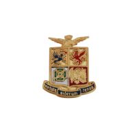DISTINTIVO IN METALLO SMALTO LEVIGATO AERONAUTICA MILITARE