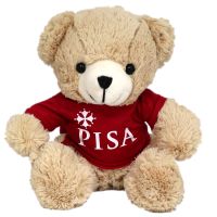 ORSETTO SEDUTO H 24 CM CON MAGLIETTA 10 PISA