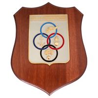 CREST IN METALLO SMALTATO BASE LEGNO 22,5X17,5CM SCUOLA AEROCOOPERAZIONE AERONAUTICA MILITARE