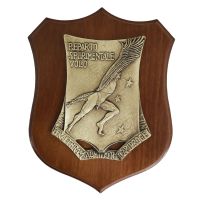 CREST IN METALLO SMALTATO BASE LEGNO 22,5X17,5CM REPARTO SPERIMENTALE VOLO AERONAUTICA MILITARE