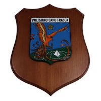 CREST IN METALLO SMALTATO BASE LEGNO 22,5X17,5CM POLIGONO CAPO FRASCA AERONAUTICA MILITARE