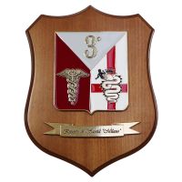 CREST IN METALLO SMALTATO BASE LEGNO 22,5X17,5CM 3 REPARTO SANITA' MILANO ESERCITO ITALIANO