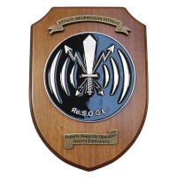 CREST IN METALLO SMALTATO BASE LEGNO CL1 22X15CM RE.S.O.G.E ESERCITO ITALIANO