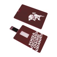 CHIAVETTA USB CARD 16GB STAMPA FRONTE RETRO FORZA VECCHIO CUORE GRANATA