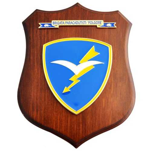 FORZE OPERATIVE E BRIGATE