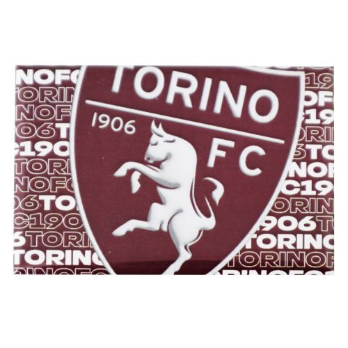 TORINO FC