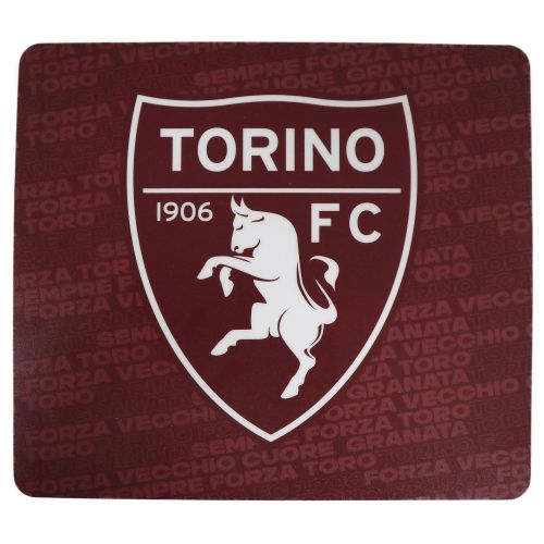 TORINO FC